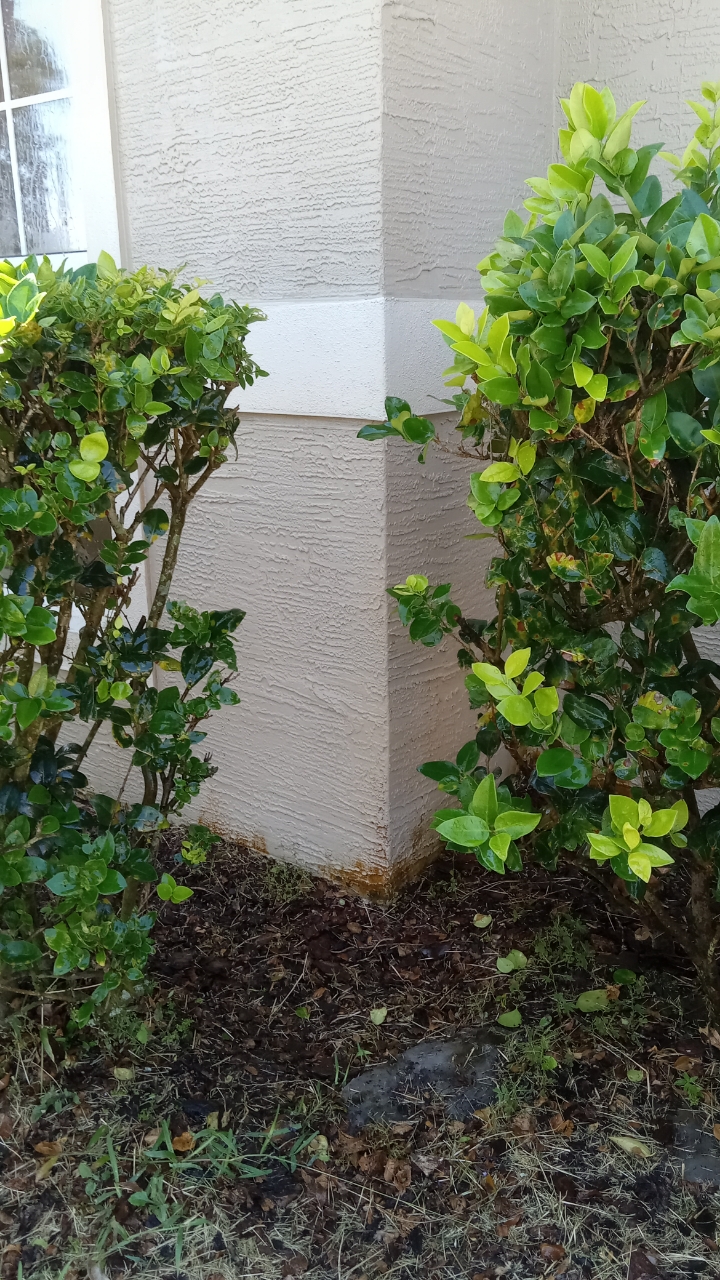 Rust stain removal Palm coast, FL 